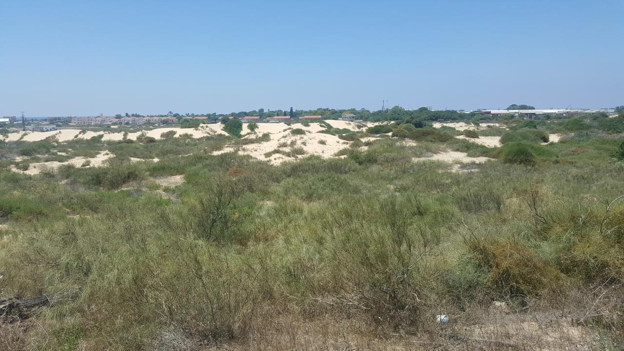 Neot Golf Caesarea Garden Apartment 外观 照片