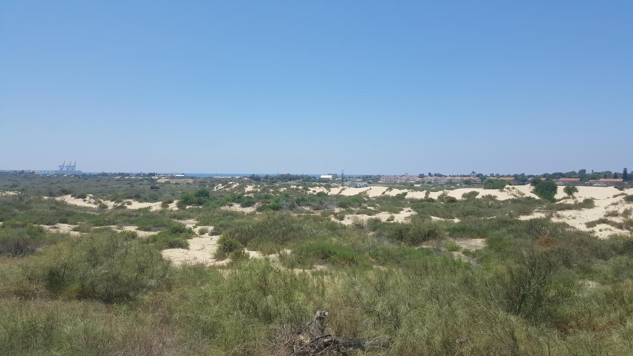 Neot Golf Caesarea Garden Apartment 外观 照片